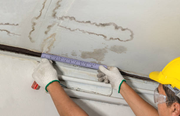 Reliable Mold Remediation contractor in Crowley, LA by Water Damage Irwin